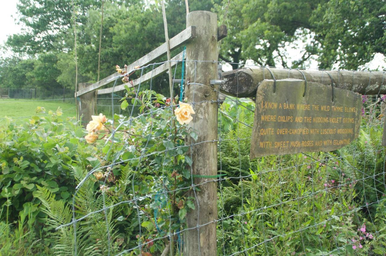 The Old Deer House Bed and Breakfast Bodmin Eksteriør billede